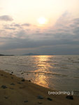 2007_03_31-099