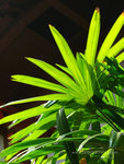 2007_10_19-076