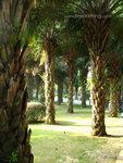 2007_10_19-240
