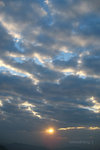 2007_12_02-060