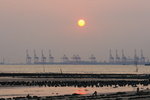 DPP_0733