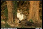 DSC06370