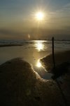 DSC07237