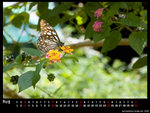 200808_1024