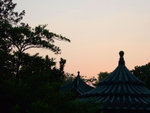 10-Nov Sunset