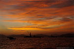 _IGP8438 copy