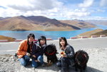 RMB15/dog
