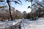 �w�w���B,�ɨ����R���Ŷ�