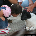 w-IMG_1615