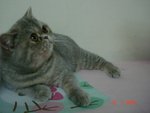 DSC01576s