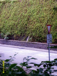SSL24965