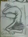 DSC00329