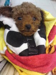 DSC00157