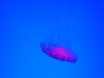 DSC00629