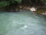 DSCF3373