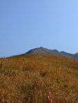 DSCF2874