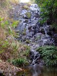 DSCF2720