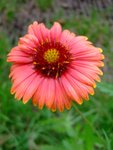 DSCF1173