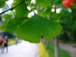 DSCF1271