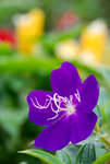 DSC_0374s