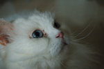 DSC_0201