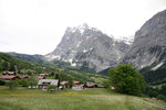IMG_7202_wm