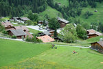 IMG_7207_wm