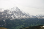 IMG_7230_wm