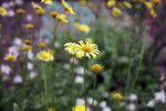 IMG_7304_wm