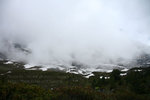 IMG_7785 copy