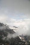 IMG_7800 copy