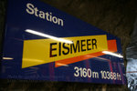 IMG_7804 copy