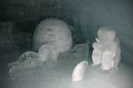 IMG_7860 copy