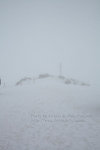 IMG_7871 copy