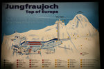 IMG_7874 copy