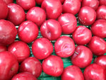 DSCF0113_wm