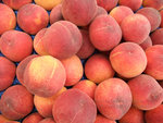 DSCF0117_wm