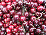DSCF0119_wm