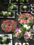DSCF0254_wm