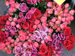 DSCF0265_wm