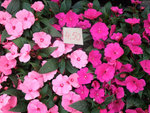 DSCF0267_wm