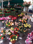 DSCF0268_wm