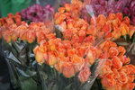 IMG_0235_wm