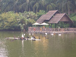 CIMG8838