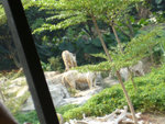 P1090244