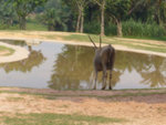 P1090248