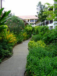 DSCF0291