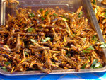 DSCF0320