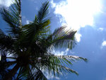 DSCF0345