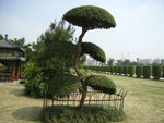 RIMG0045